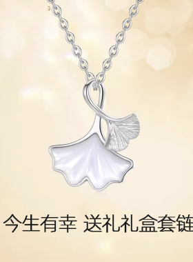 PT950镀铂金项链女18K白金锁骨链