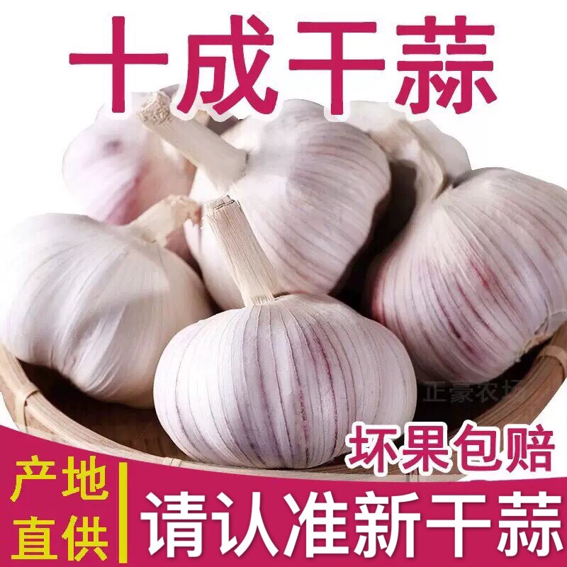 山东金乡紫皮大蒜大蒜头干蒜5斤