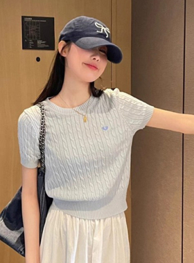 蓝色冰丝麻花短袖针织衫女夏季薄款小个子正肩T恤收腰短款上衣