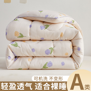 梦芝燃A类抗菌防螨保暖冬季棉被