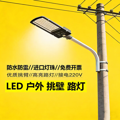 回购率99.9%，防水LED路灯头220V