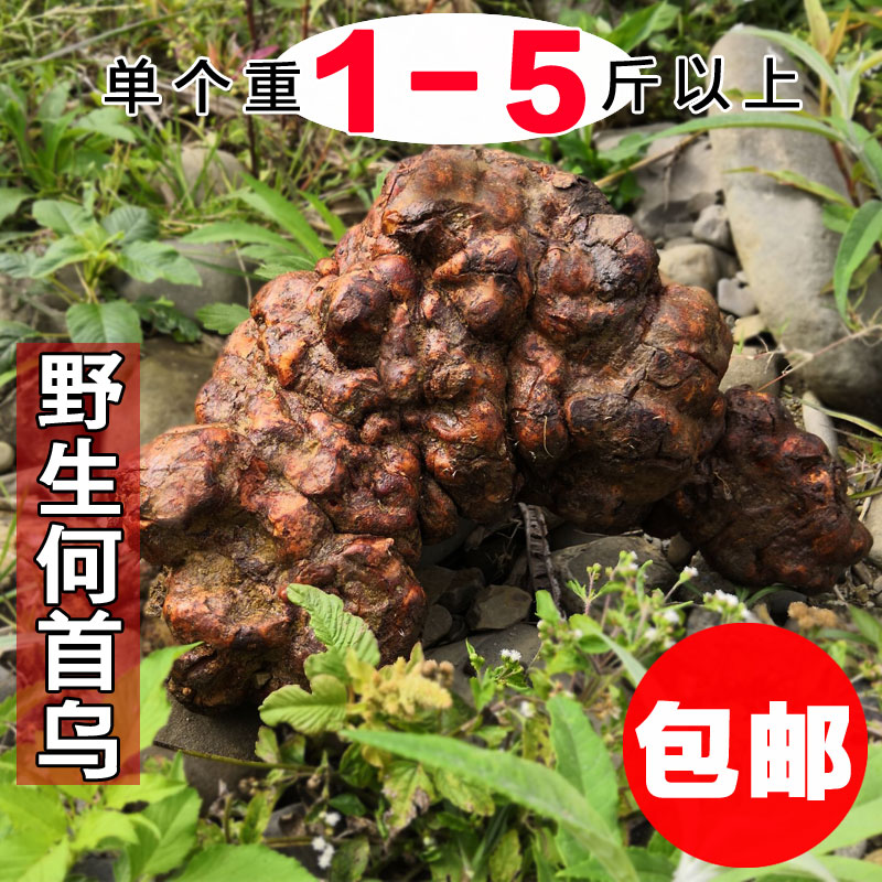 新鲜野生何首乌3斤 2个生首乌泡酒泡茶老年大首乌白发黑发乌发生
