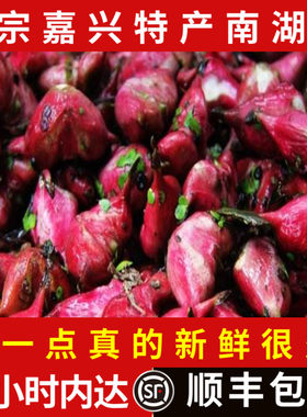 （顺丰包邮）嘉兴特产南湖红菱角
