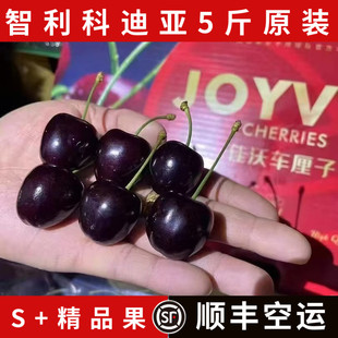 智利kordia车厘子科迪亚进口大樱桃5斤原箱礼盒装新鲜水果大樱桃