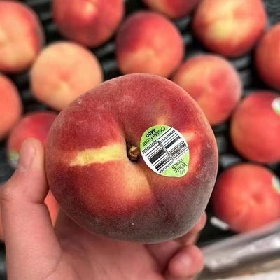 澳洲空运水蜜桃新鲜上市