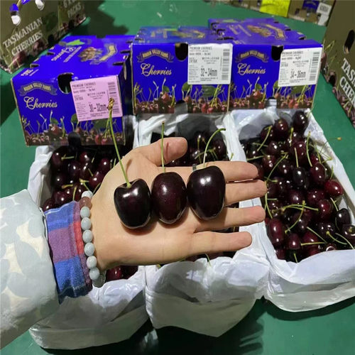 澳洲进口空运车厘子嘎奔脆甜