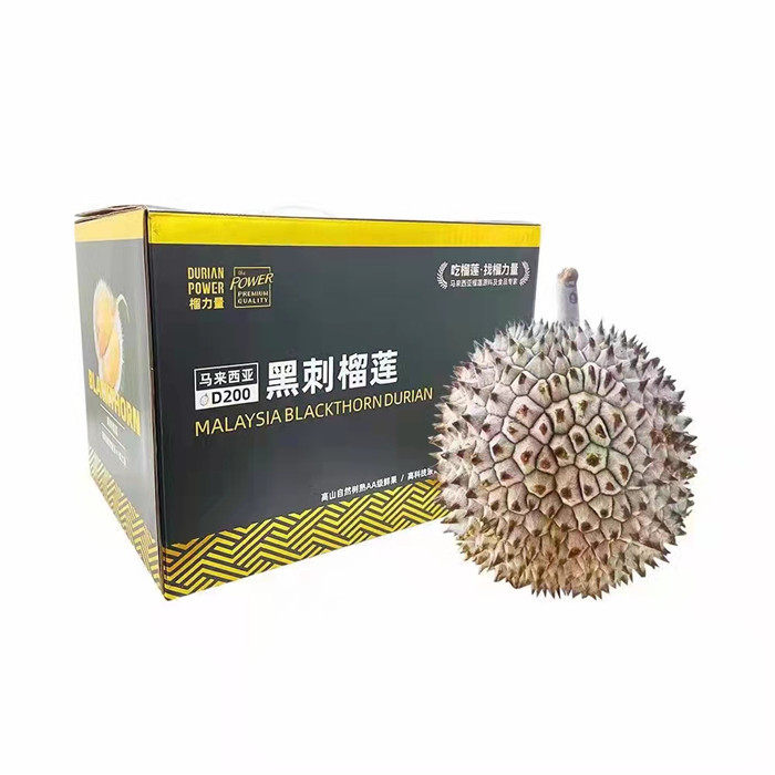 马来西亚黑刺榴莲D200新鲜带壳液氮树上熟榴莲顺丰包邮