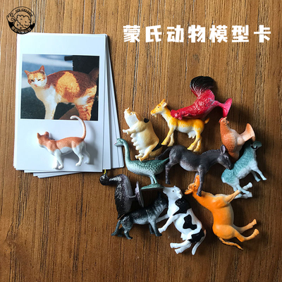 蒙氏教具识字英语早教玩具三段卡