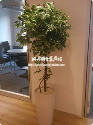 包邮！仿真植物造型树 榕树球 球形榕树 定制酒店展厅造型装饰树