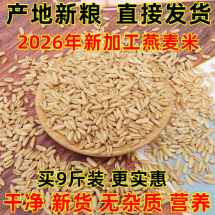 新米燕麦米2025年纯生裸燕麦仁粒莜麦全胚芽米10粗粮商用内蒙古斤