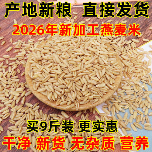 燕麦米新米2025年产地直接发货