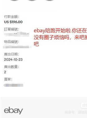eBay平台一对一指导教学，零基础开店陪跑，零基础到开单