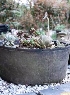 直央盆复古国际盆多肉盆创意花盆庭院大口径种菜老桩家用泥瓦盆