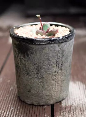 老桩园艺阳台复古做旧吸水泥瓦盆绿萝花盆花盆直高筒专用简约透气