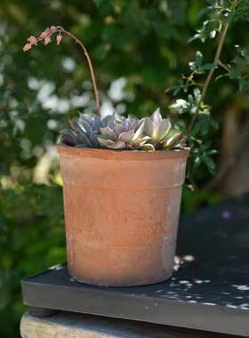 宽边口盆多肉红陶盆景大号陶瓷花盆兰花创意个性粗陶瓦盆盆栽专用