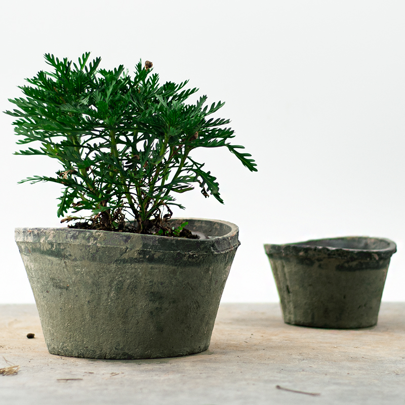 扁盆粗陶红小黑花盆兰花植物大盆景陶盆阳台庭院个性月季控根盆具