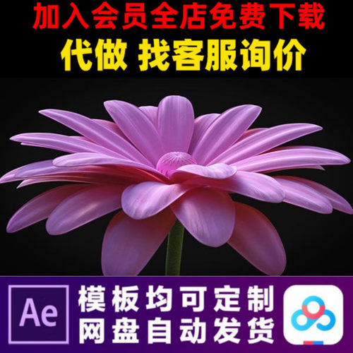 AE模版4k花朵大自然粉色LOGO演绎开场片头动画特效视频制作模板