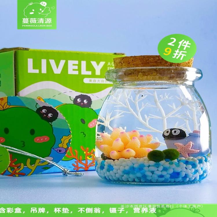 包邮海藻球微景观生态瓶水培球藻创意迷你植物桌面玻璃瓶盆栽礼物