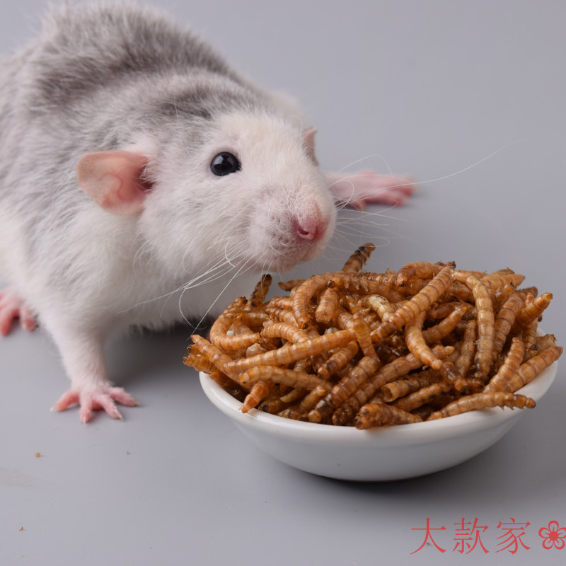 面包虫干仓鼠粮食用品金丝熊 小包装100克 零食乌龟花枝鼠主粮|ruв категории животное/Животное питание и принадлежностей, хомяк класса и других малых животное, корма/закуски - от Buy2taobao.com для оказания профессиональной услуги покупки агента Taobao