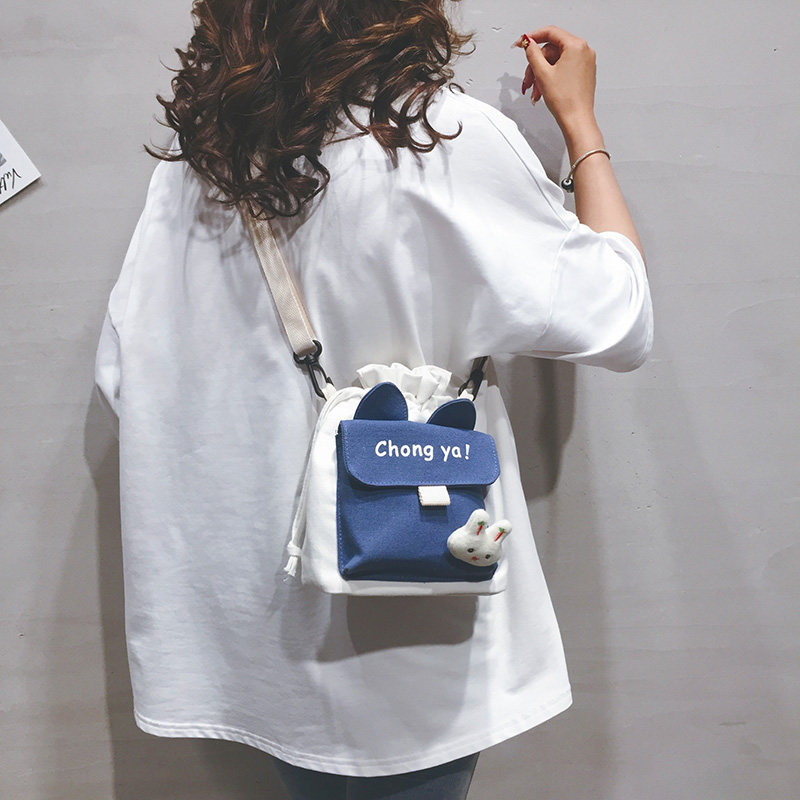 网红质感小包包女包新款2020洋气帆布包女迷你时尚百搭单肩斜挎包