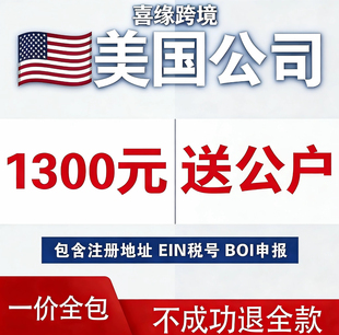美国公司注册怀俄明州公司申请企业营业执照Stripe和本土电商平台