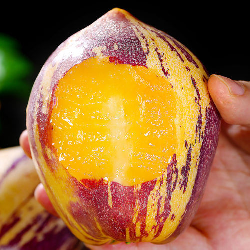 甘肃民勤现摘产妇非云南人参果