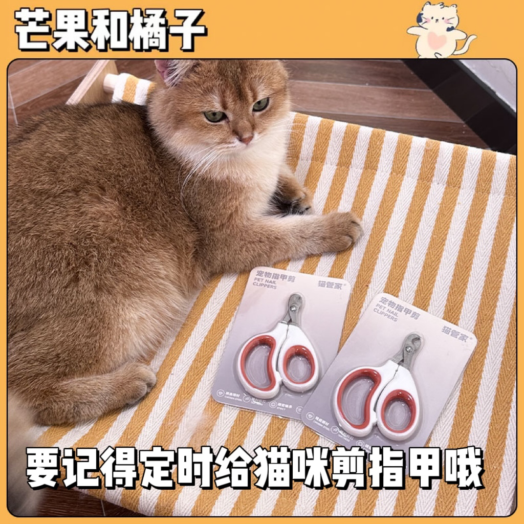 猫咪指甲剪 猫指甲剪专用 给狗指甲刀宠物猫咪指甲钳猫专用神器