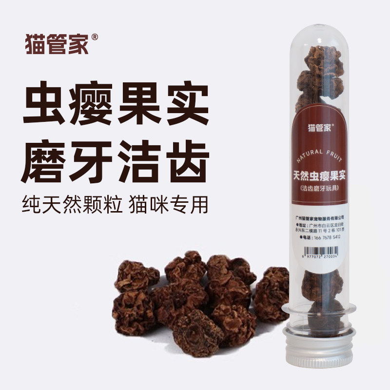 猫管家虫瘿果耐咬磨牙洁齿玩具