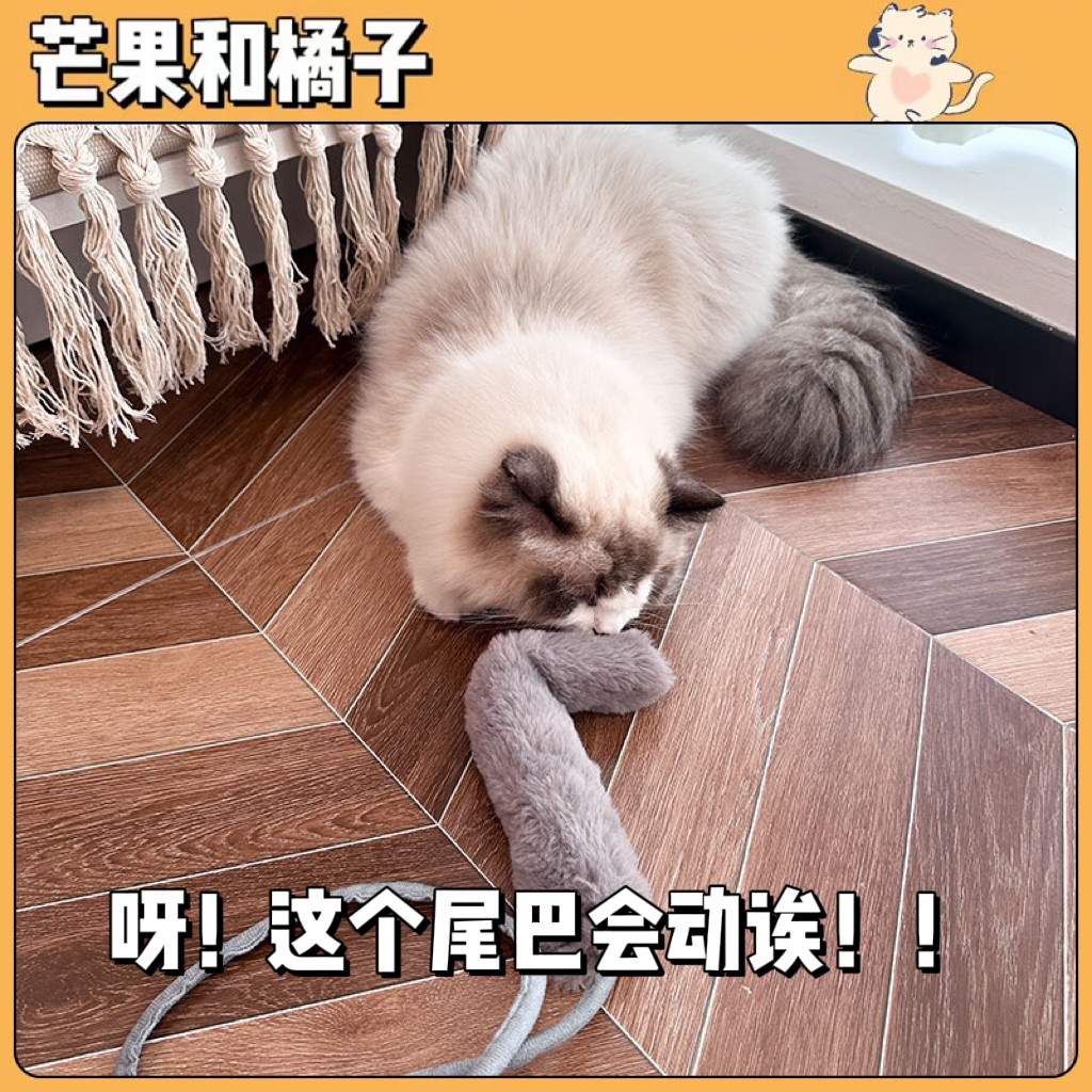 气动猫玩具 仿真鱼猫薄荷逗猫棒自嗨解闷新手养猫买 会动的猫玩具