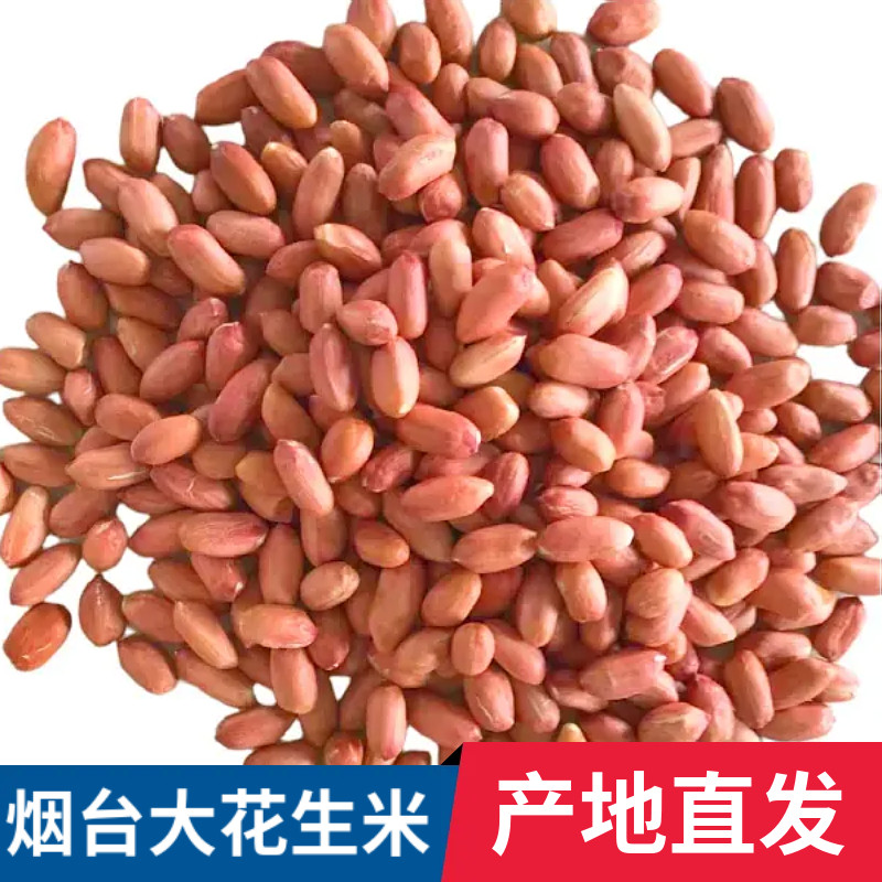 烟台原产地直发手工筛选大花生