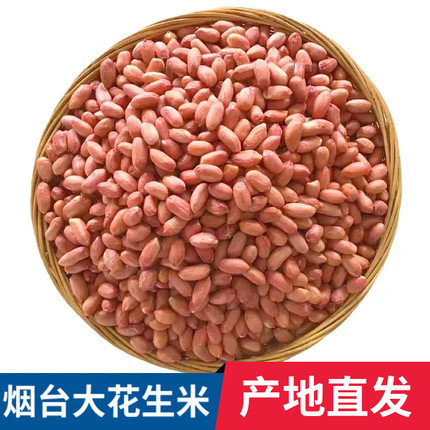 山东烟台红粉皮生花生米农家自产沙地新货精选长粒大花生产地直发
