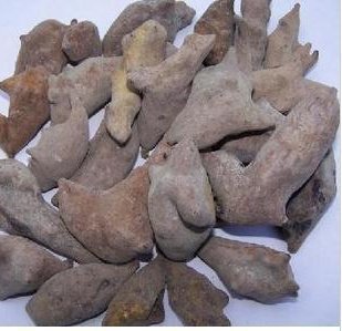 药材五倍子  角倍 肚倍 盐肤木果 500克