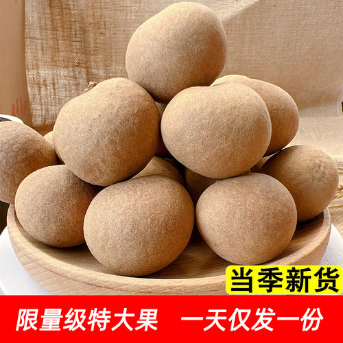 福建莆田百年老树限量特大级桂圆干当季新果纯手工挑选日发一份