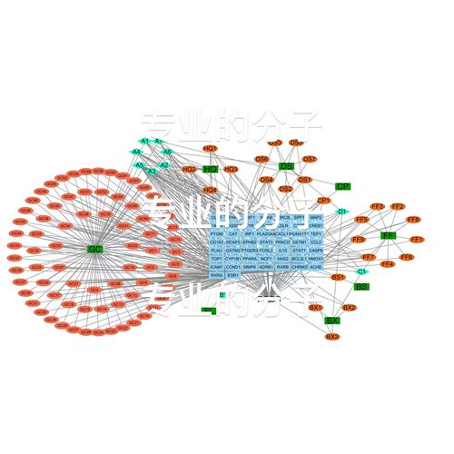 生信分析指导/单细胞转录组/数据挖掘代谢组/meta医学/R语言
