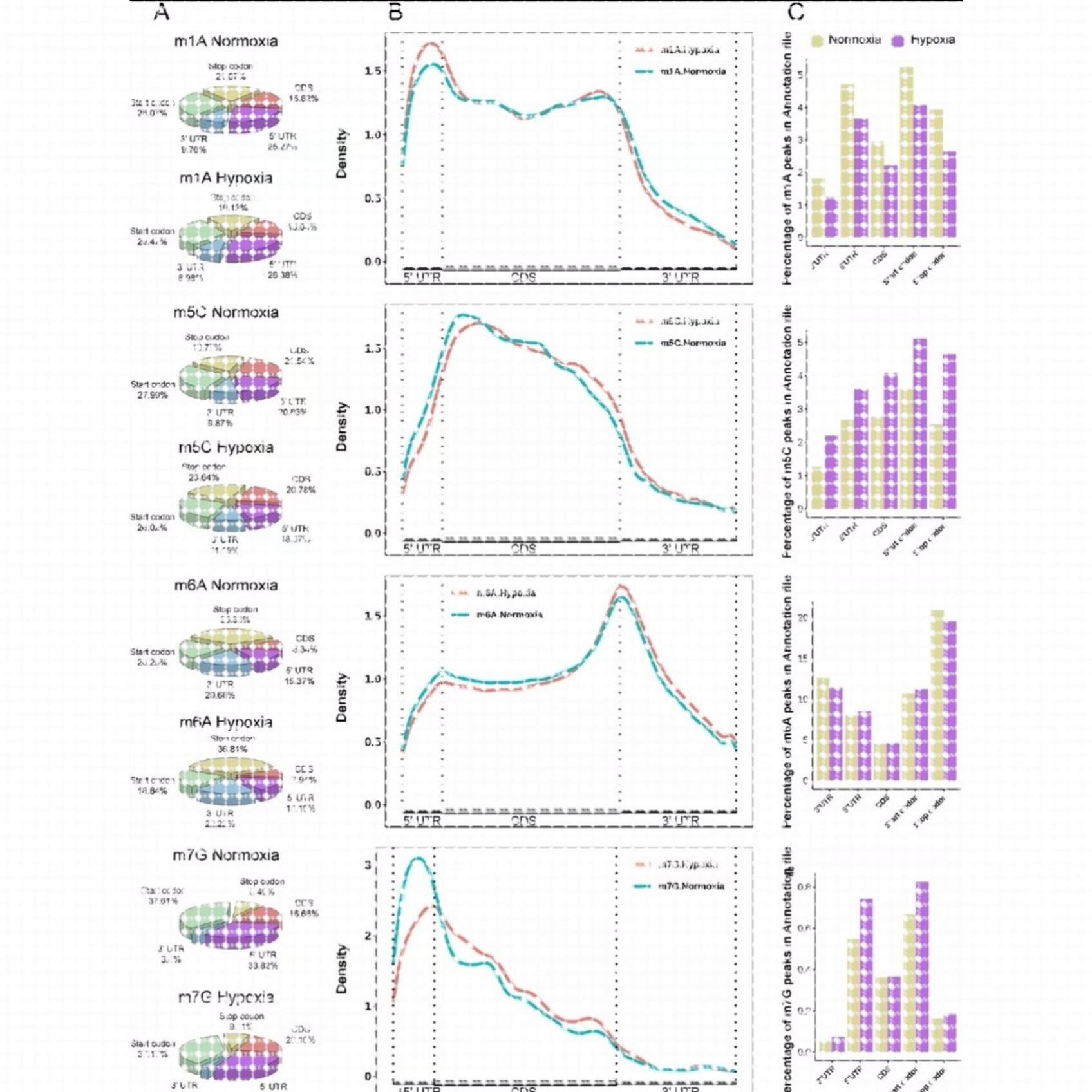深度学习/机器学习/python/图像识别/自然语言/机器人彷真/matlab