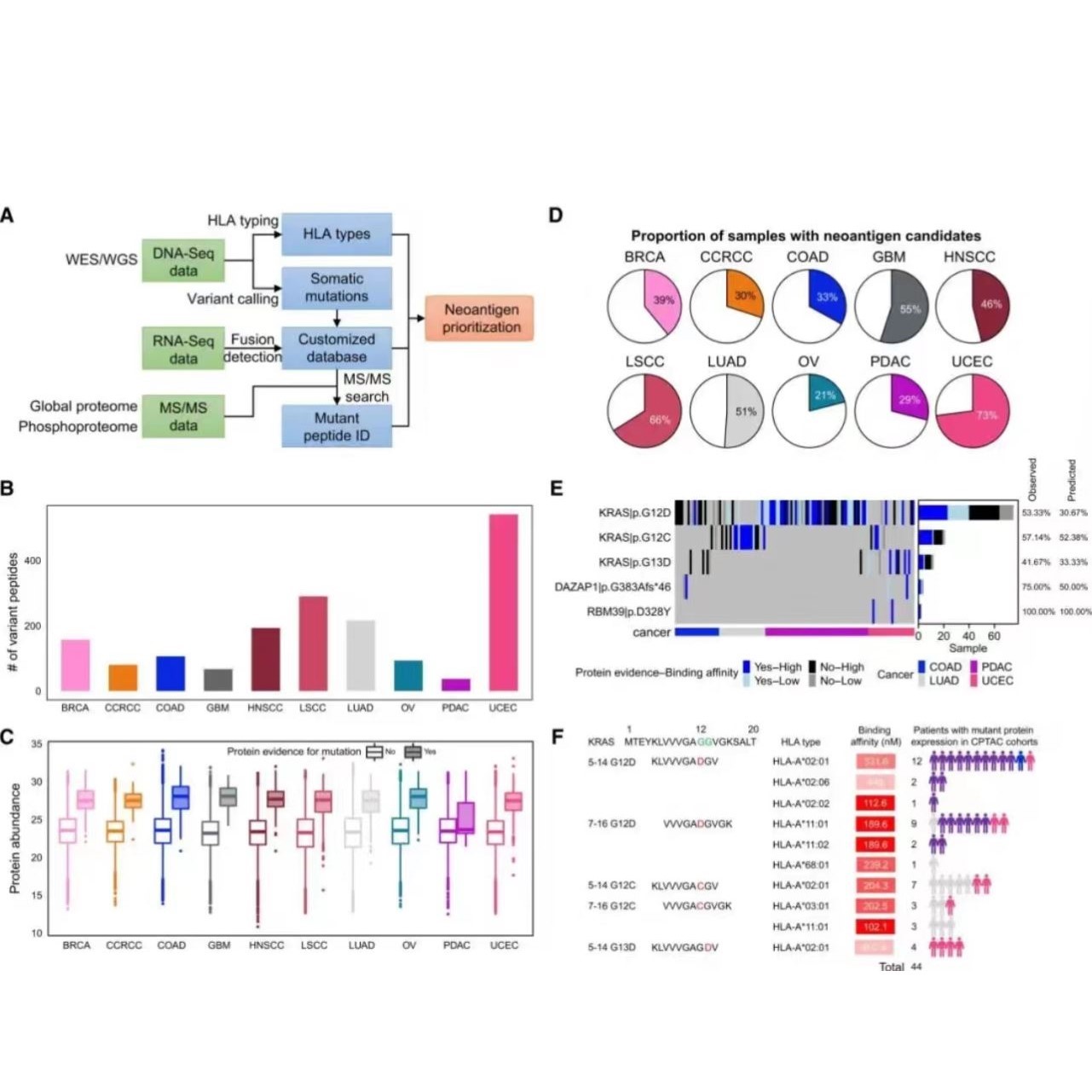 AIDD CADD计算机辅助药物设计Amber分子动力学GROMACS ChemDraw