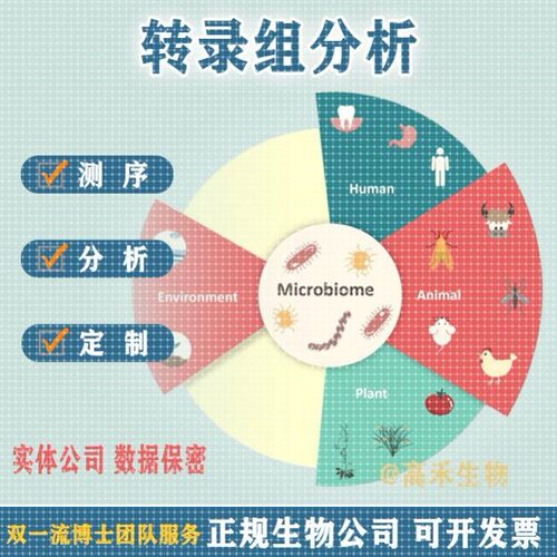 转录组RNA-seq有参/无参 全长/单细胞/空间转录组测序与分析