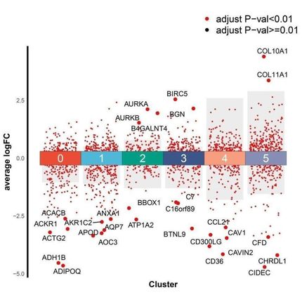 网络药理学SCI文章发表视频教程选题预测药物作用靶点验证实操