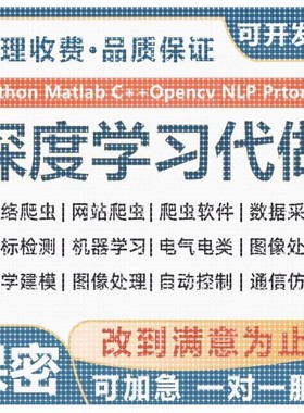 python图像处接单强化学习理创新代编程序深度学习cv算法代码调试