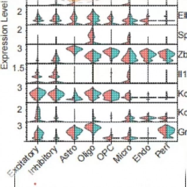 生物信息学分析服务(转录组数据分析/临床数据挖掘)