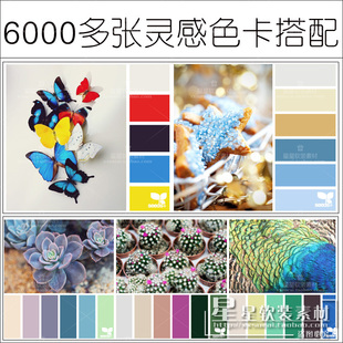 星星软装 室内设计素材 6000多张色卡色彩搭配配色排版 参考图片