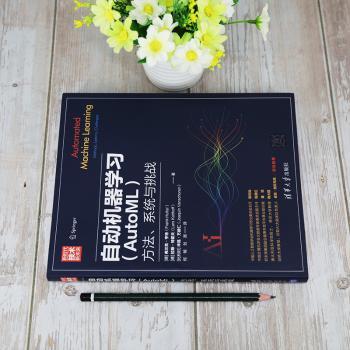 【现货】自动机器学习(AutoML):方法、系统与挑战:methods, systems, challenges