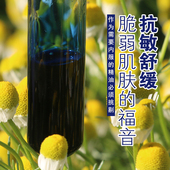 单方新疆芳时德国洋甘菊精油蓝苷菊修护脆弱角质受损肌肤正品 5ml