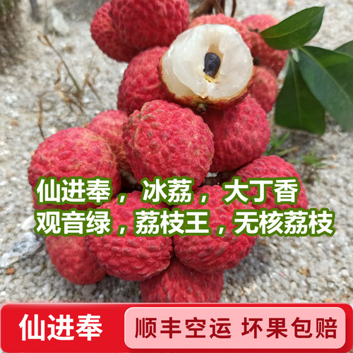 仙进奉荔枝香甜5斤顺丰礼盒