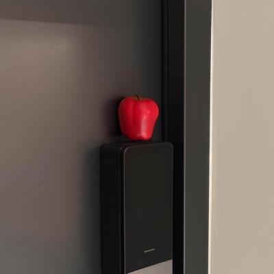 【出入苹安】入户门磁吸