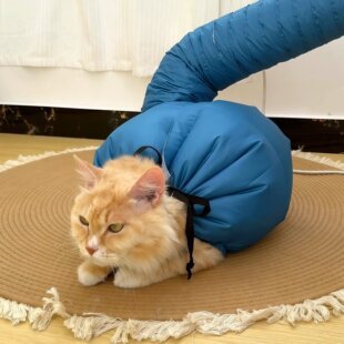 洗澡神器！宠物烘干袋猫咪狗狗毛发烘干箱吹水机防毛发乱飞2026新