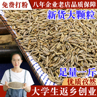 孜然大颗粒500g 烧烤烤肉调料撒料蘸料可免费打粉 优质新疆吐鲁番