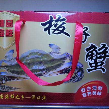 野生鲜活梭子蟹海蟹螃蟹洋口港