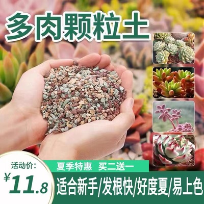 多肉颗粒营养土植物专用铺面