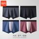 内裤 40支棉男士 中腰加大码 桔内木木男士 平角裤 9932